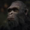 Planet der Affen: Last Frontier erscheint am 21.November