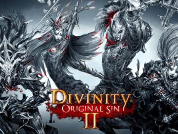 DIVINITY: ORIGINAL SIN 2