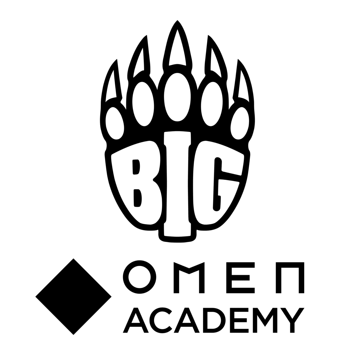 big academy logo